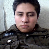 Noe Vite